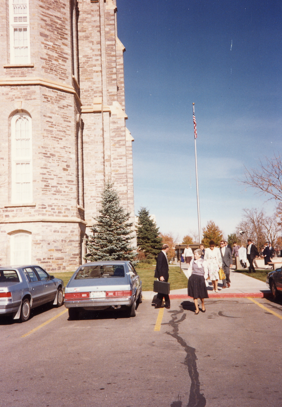 Image 8